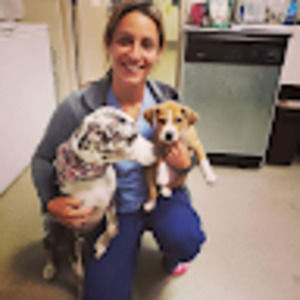 Meet your Posher, Rebecca